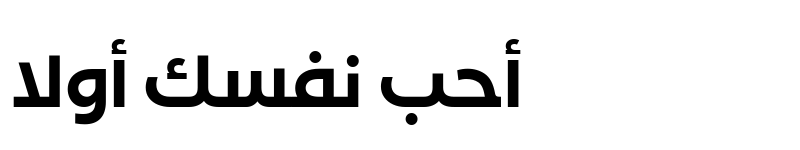 Preview of FF Shamel Family Sans One Bold