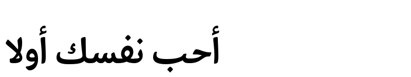 Preview of Palatino Sans Arabic Bold